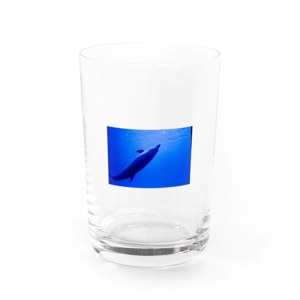 じりきちゃんの家の気持ちよく泳ぐイルカ Water Glass :front