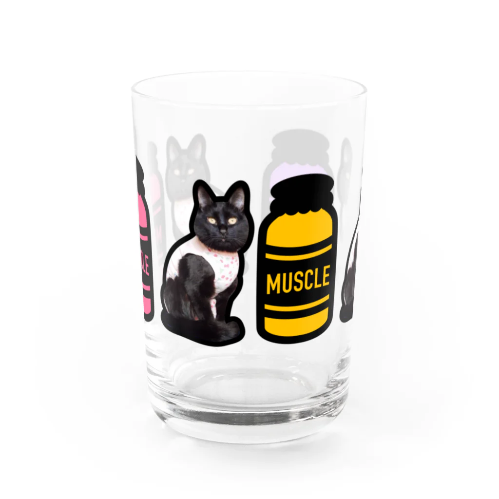 保護猫支援ショップ・パール女将のお宿のマッスルニャンコ Water Glass :front