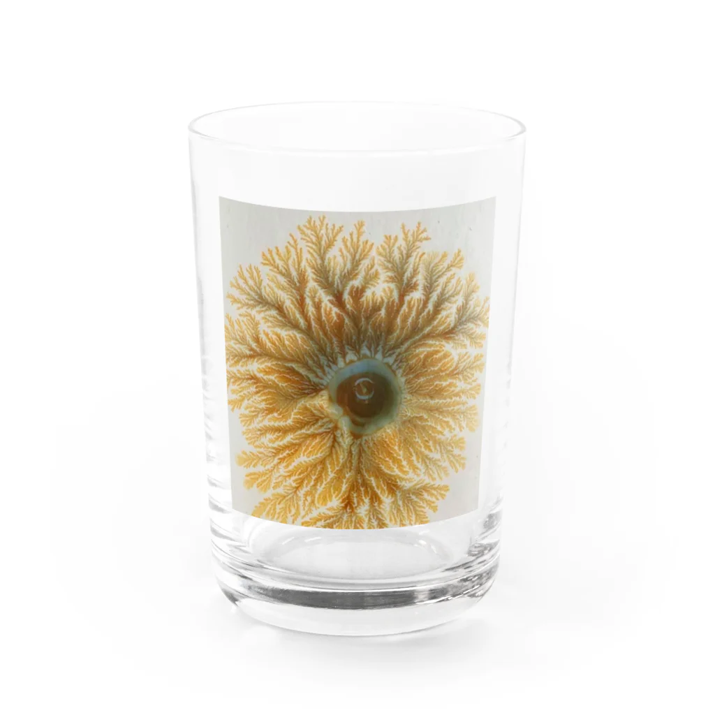 龍眼ミタマスアートの龍球フラクタル Water Glass :front