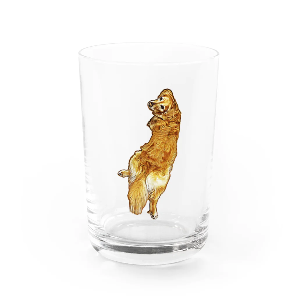 flatcoatedretrieverのgolden retriever Water Glass :front