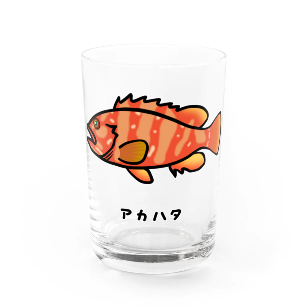 脂身通信Ｚの【魚シリーズ】アカハタ♪2107 グラス前面