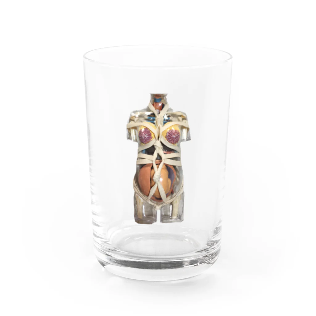 Iénaの妊婦模型 Water Glass :front