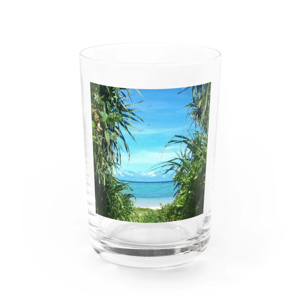 Haction_elseの離島　小径を抜けて・・・ Water Glass :front