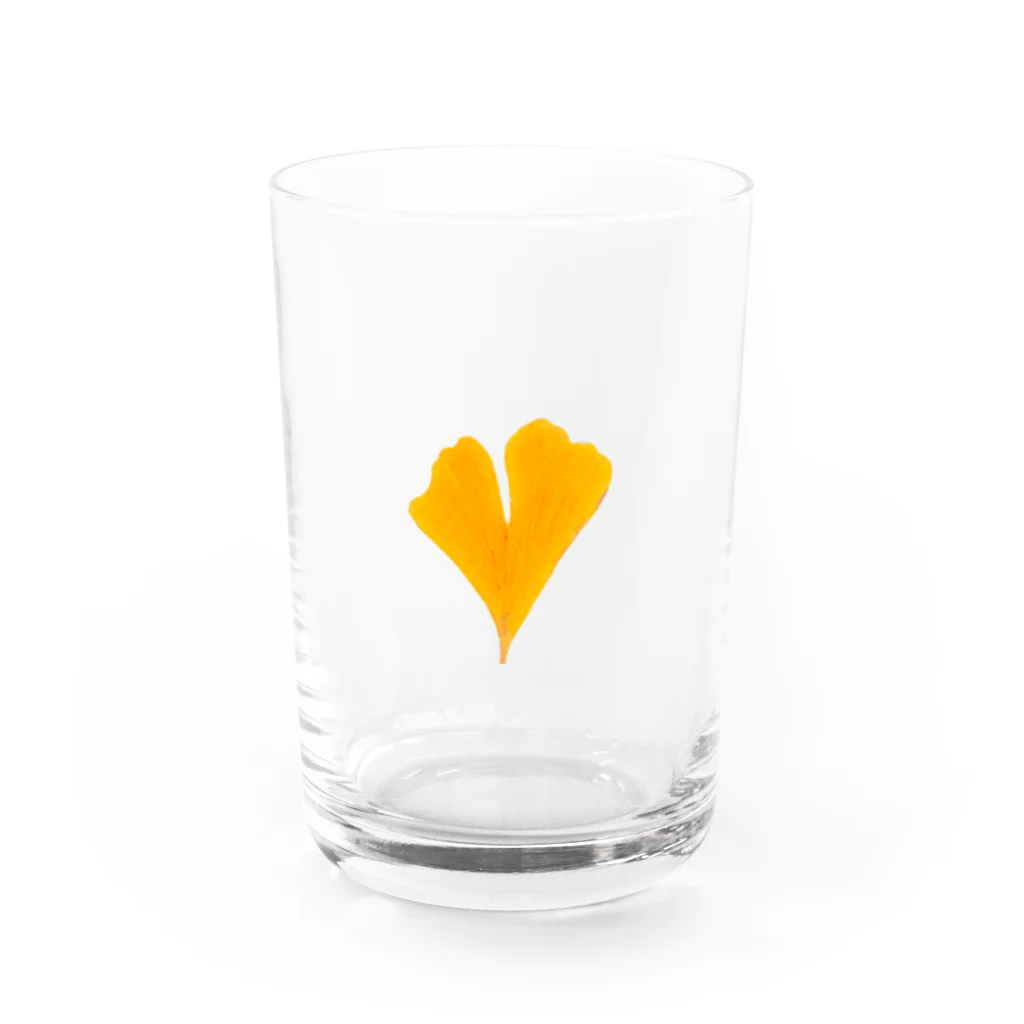 umameshiのイチョウ / ginkgo Water Glass :front