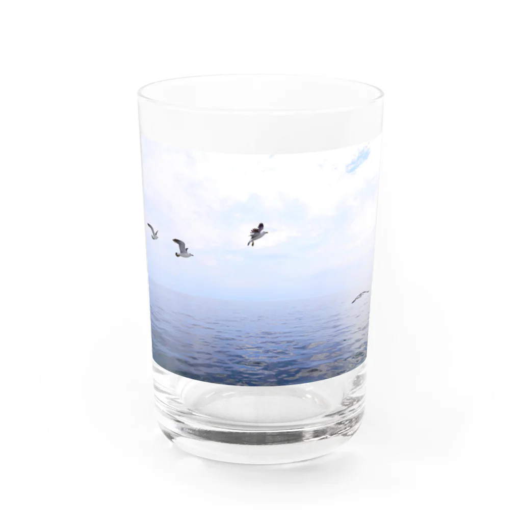 Tzelem Tzalamの石巻のうみねこ Water Glass :front