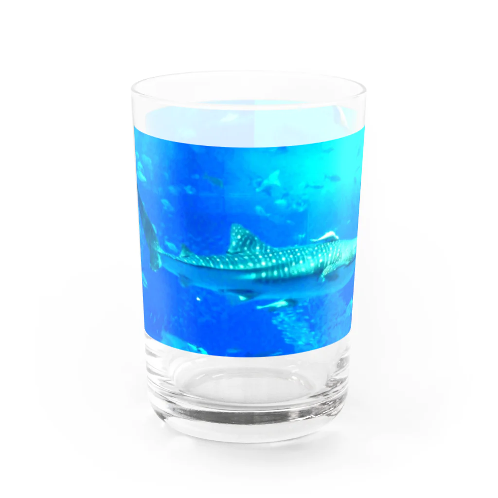 サーモン祭のジンベイザメ Water Glass :front