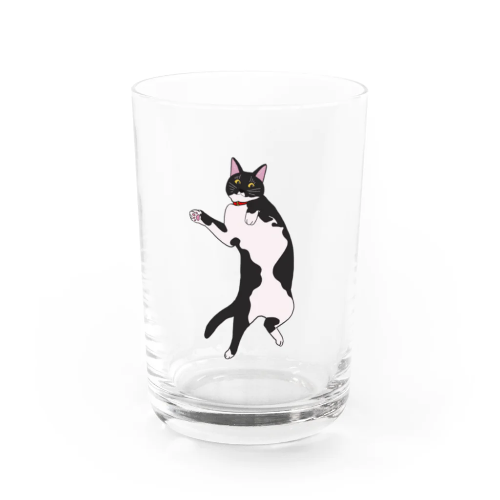 NAZの床に落ちてるねこ Water Glass :front