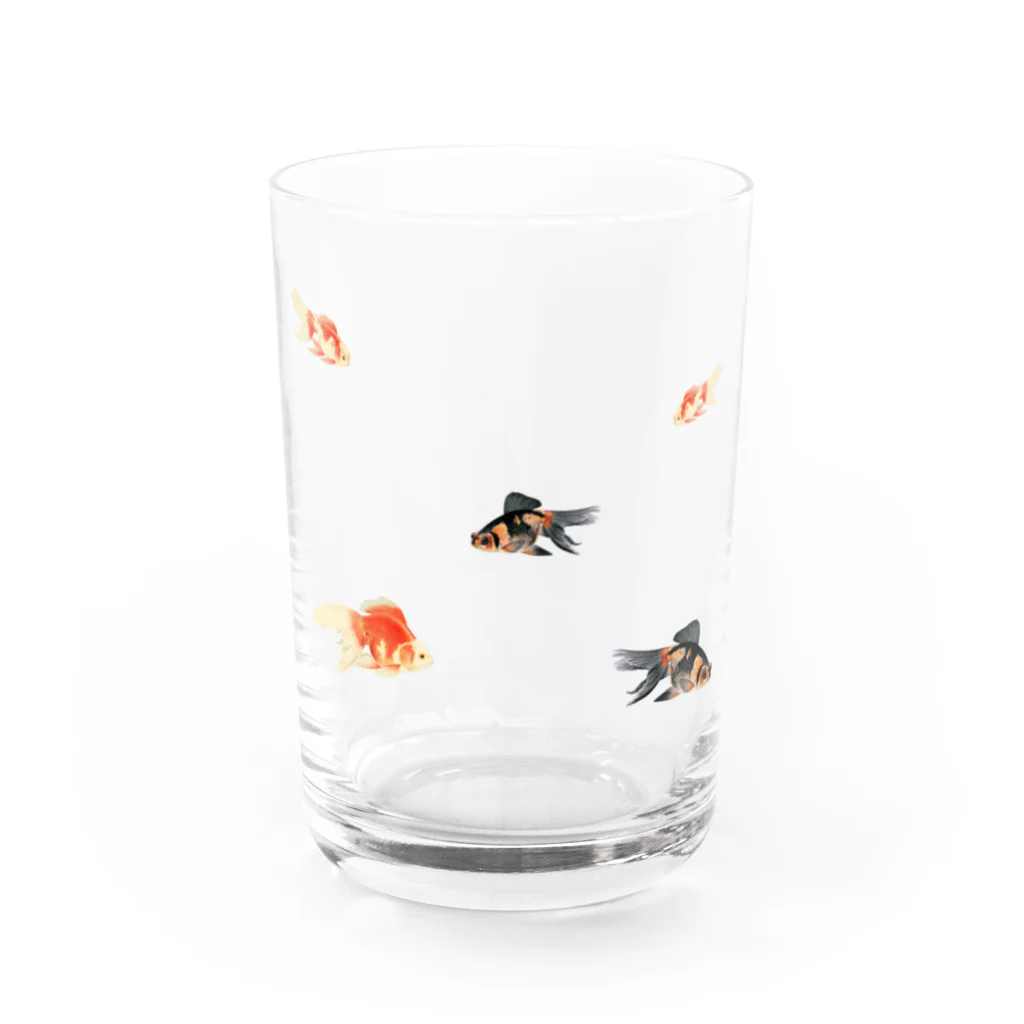 海賊猫 cocoの『夏祭り』 夏 琉金 金魚 金魚すくい 浮世絵 Water Glass :front