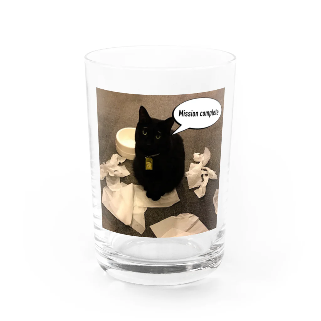 猫カフェ ぶぅたんグッズショップの渋い仕事をするララくん グラス前面
