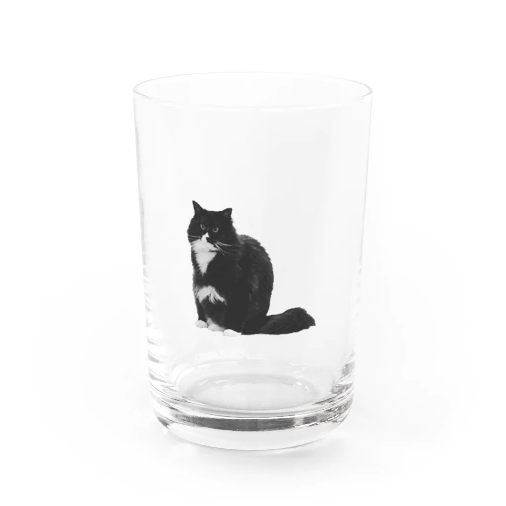 にゃんたろうの変な座り方にゃんたろう Water Glass :front