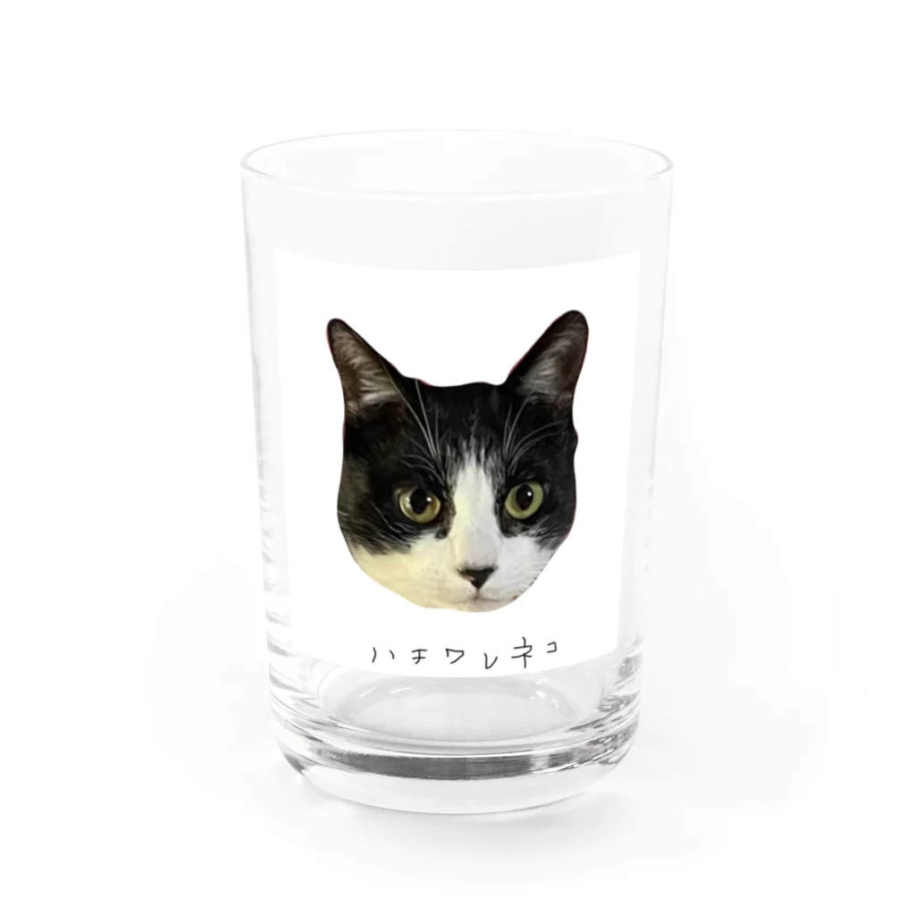 キースケのハチワレネコ Water Glass :front