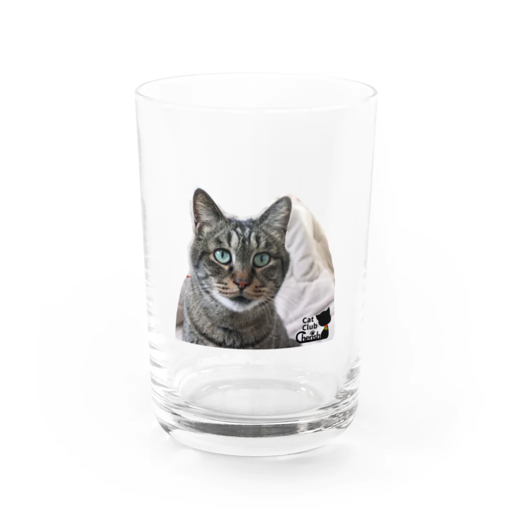 CatClubCherishのバンブー Water Glass :front