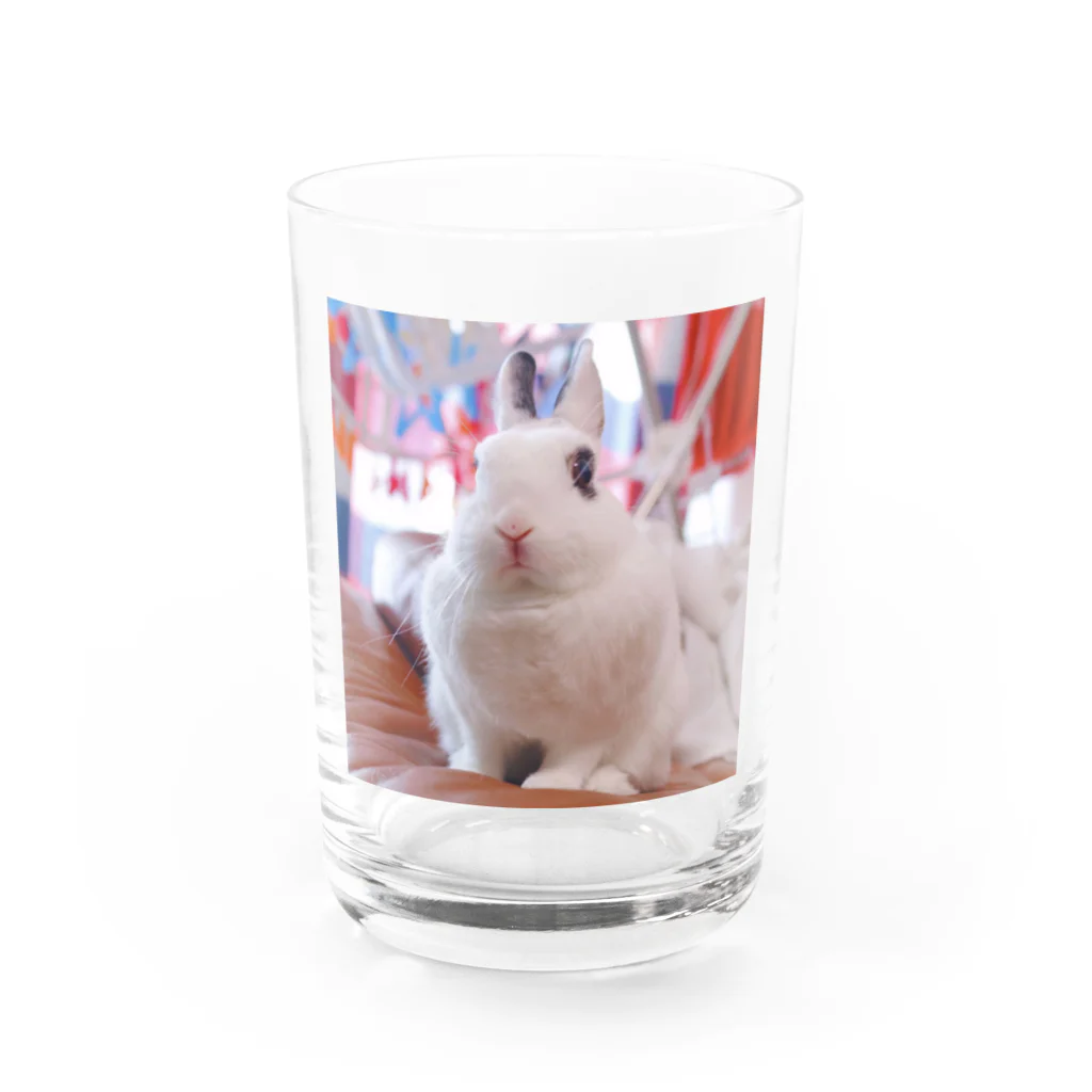 あんにんのおみせのキリッとあんにん Water Glass :front