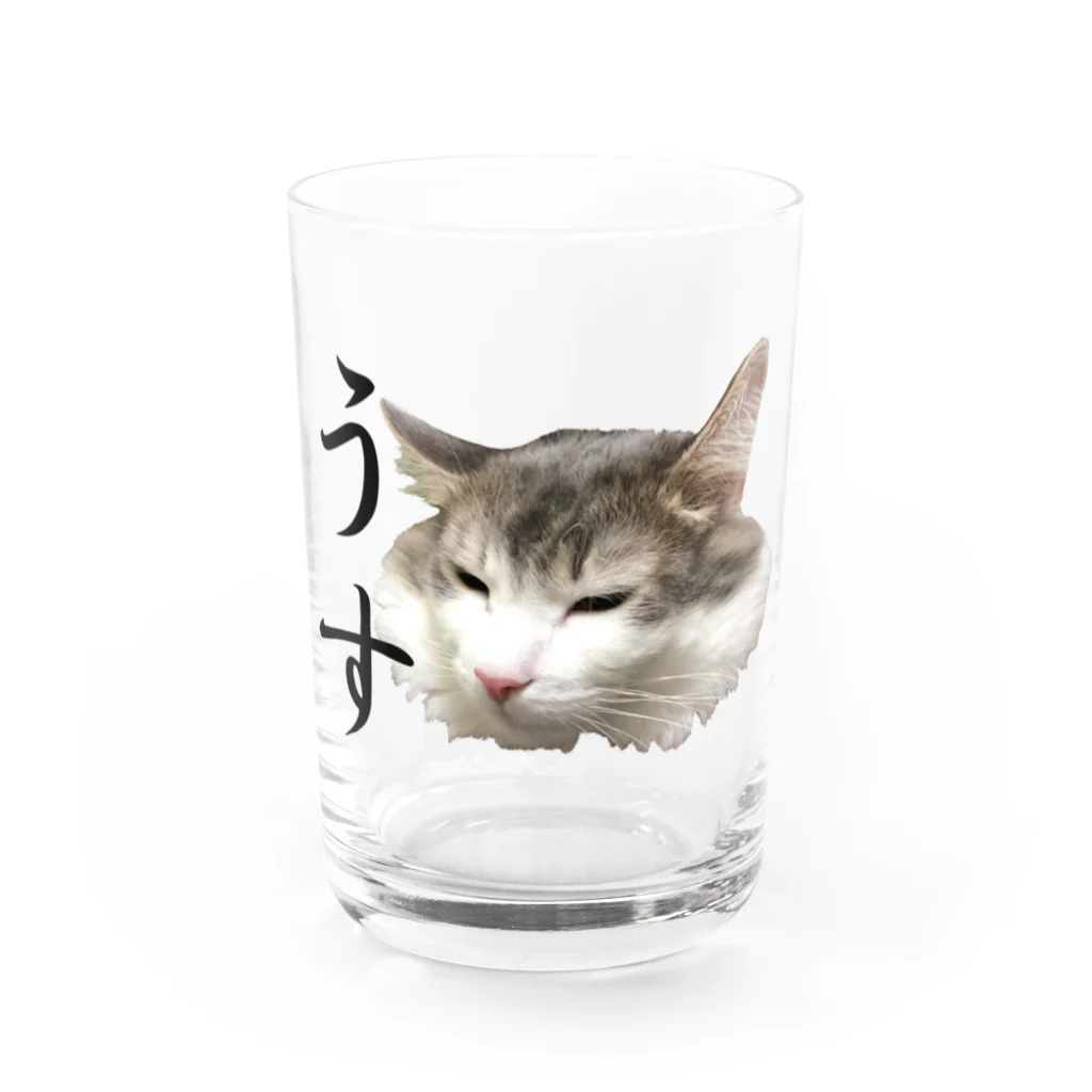 ひじき（ノル猫）のうす猫 Water Glass :front