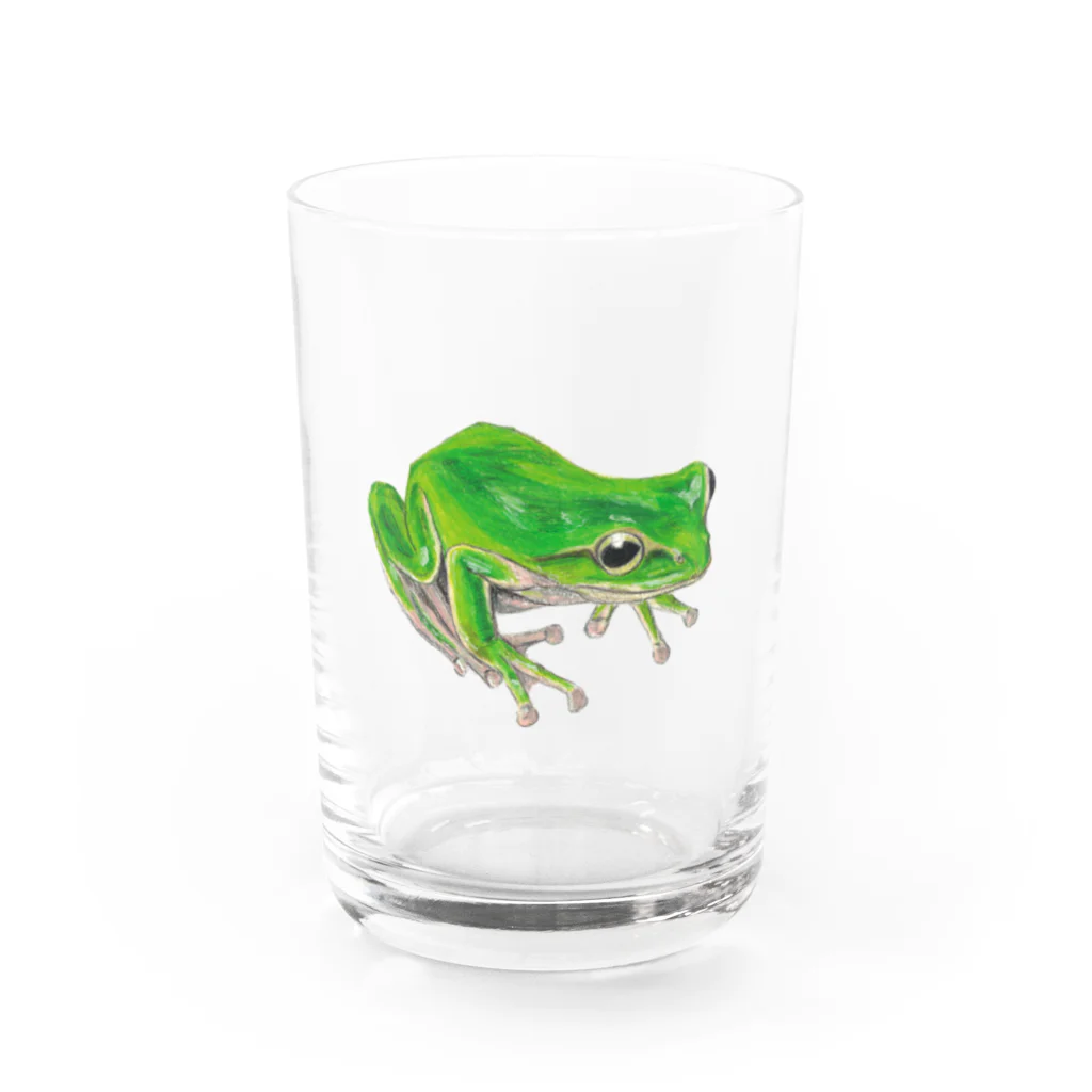 森図鑑の[森図鑑]アマガエル Water Glass :front