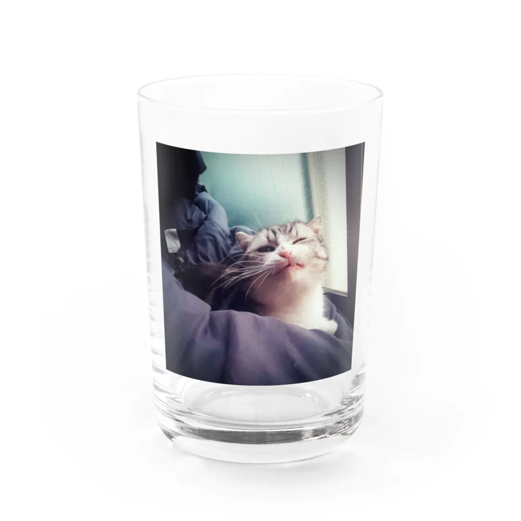 ぽいぽいまるまるの生意気まる Water Glass :front