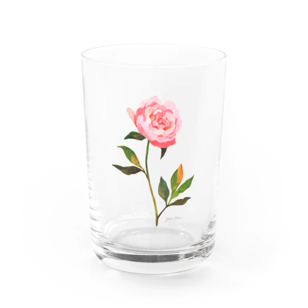 YURI MIUの芍薬 ＊ Pink Peony 02 Water Glass :front