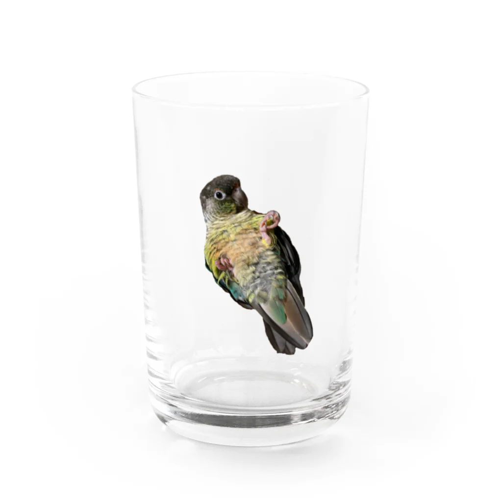 私による私のためのグッズ屋さんのころころトトちゃん Water Glass :front