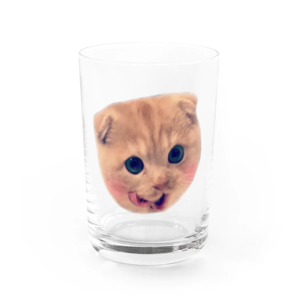 ～癒しの猫暮らし～の甘えんぼ猫ポテト Water Glass :front