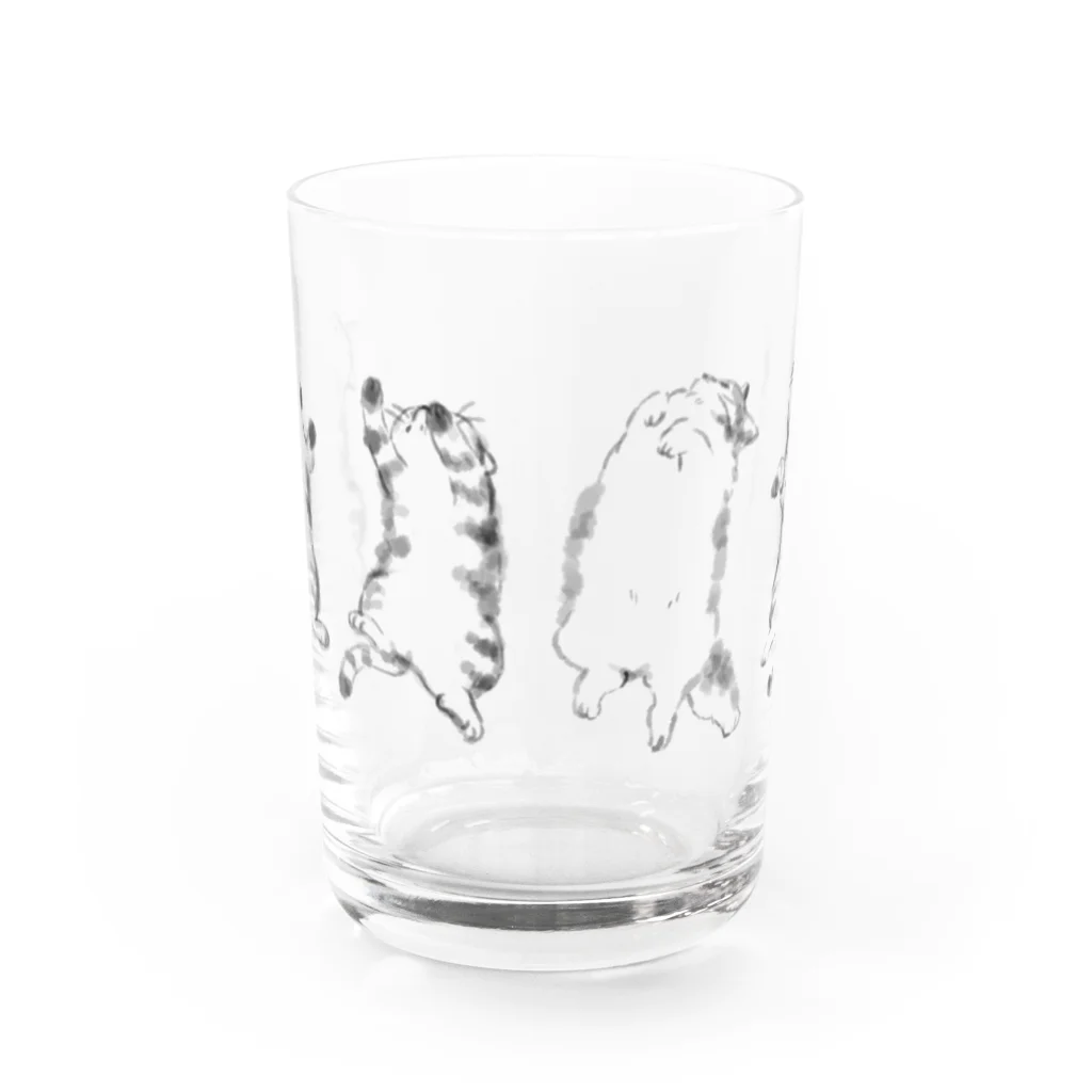 p-55のゴロ猫 Water Glass :front