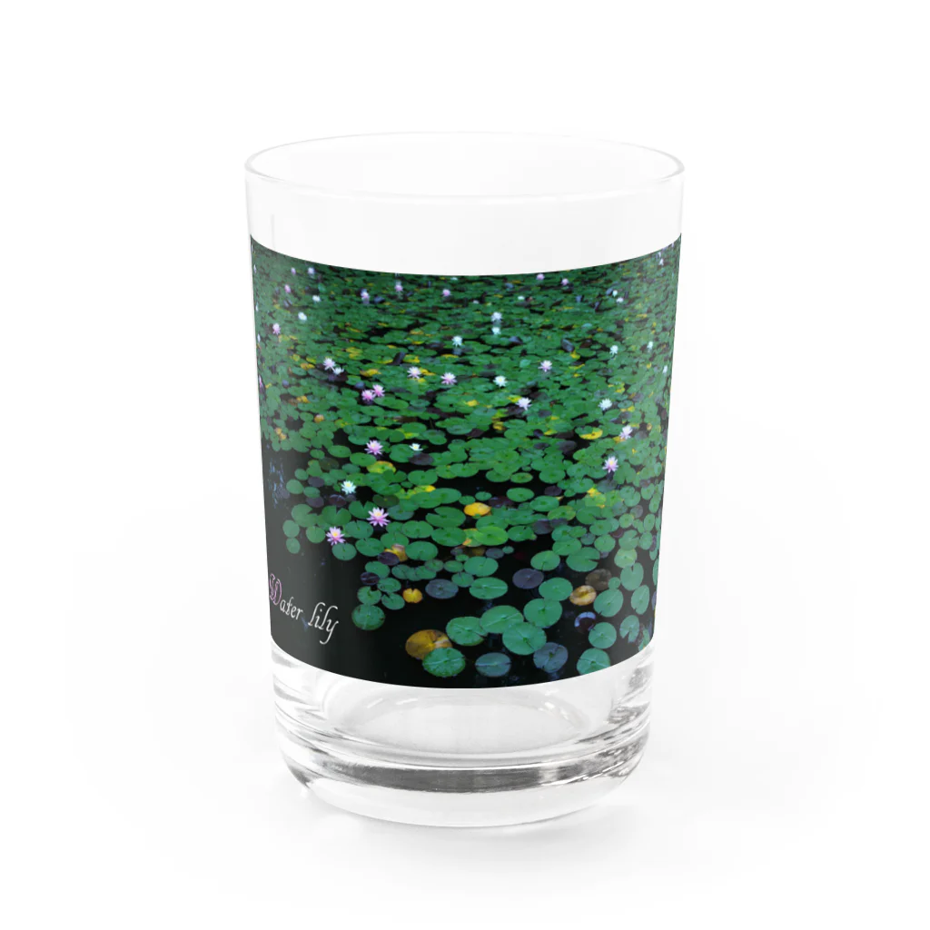 photo-kiokuの睡蓮 Water Glass :front