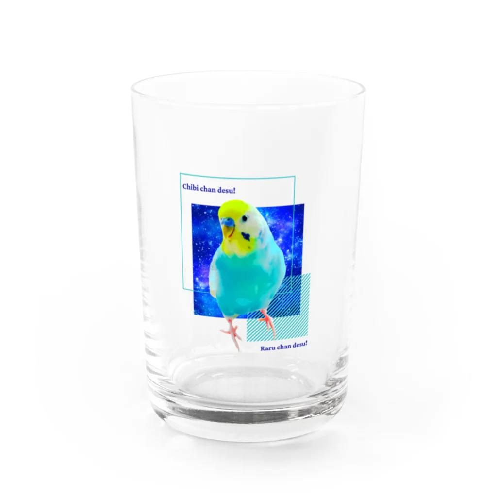 むーむー小屋のちびちゃんです！　セリフ付き青背景 Water Glass :front