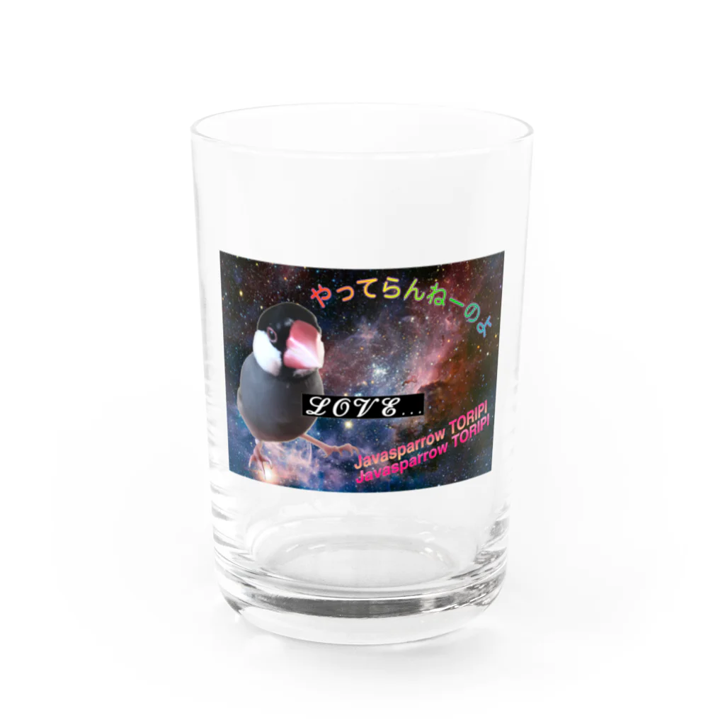 Buncho_kansaiのJavaspparow TORIPI Water Glass :front