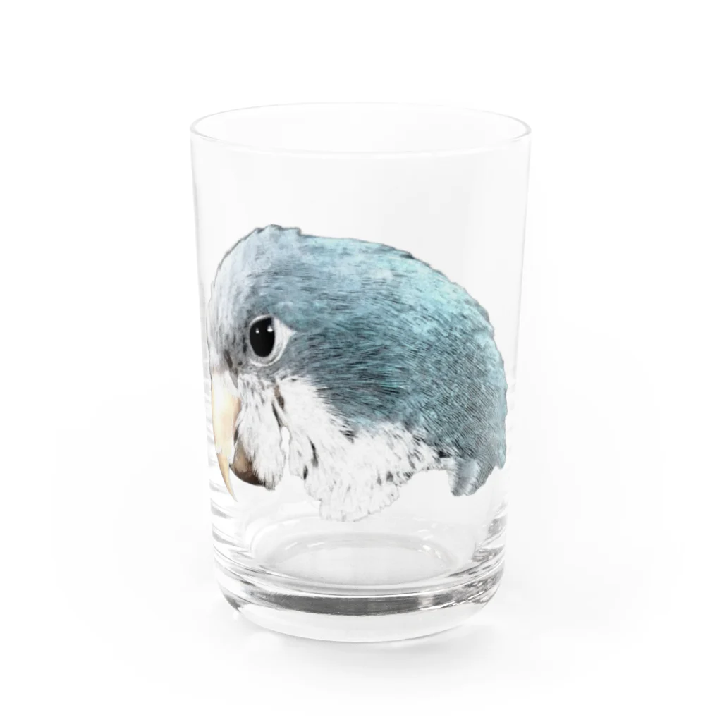 鳥鳥鳥(トリプル)の鳥鳥鳥 オキナインコ Water Glass :front