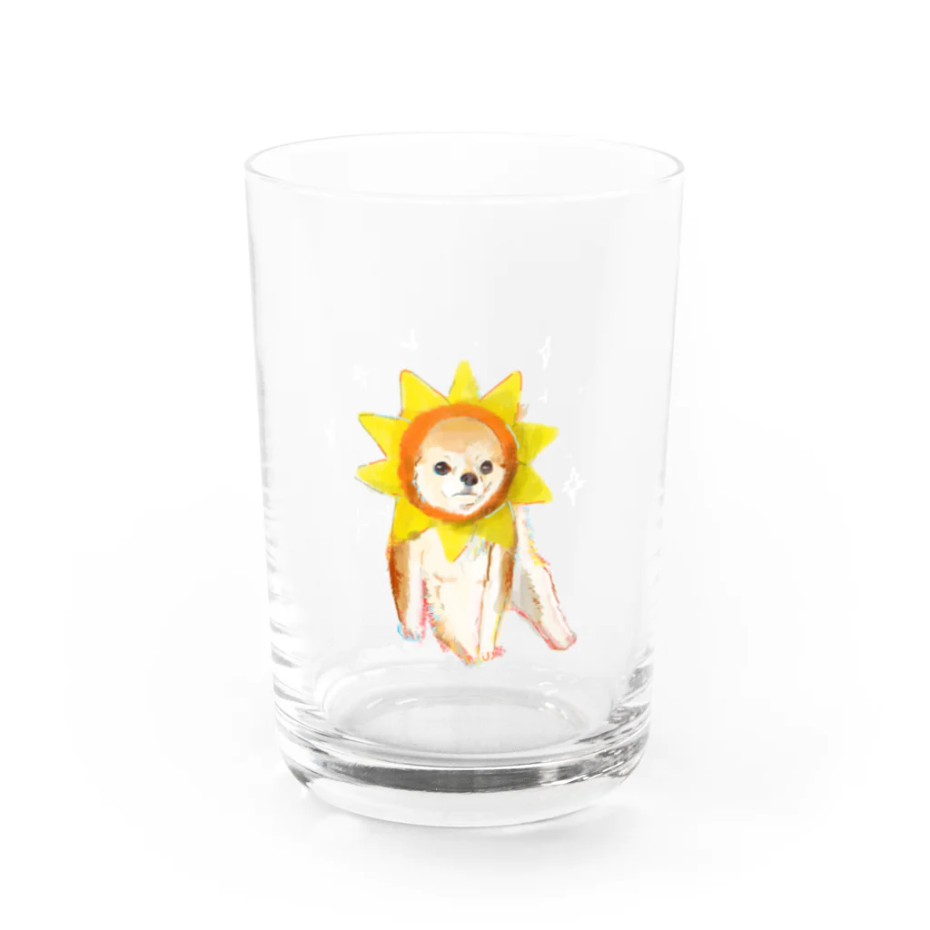 スの太コスピカチワ Water Glass :front