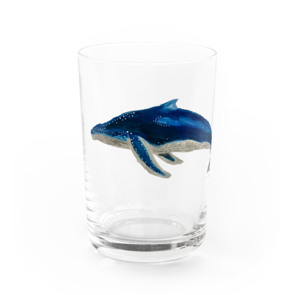 Coshi-Mild-Wildのザトウくじらだよ🐋 Water Glass :front