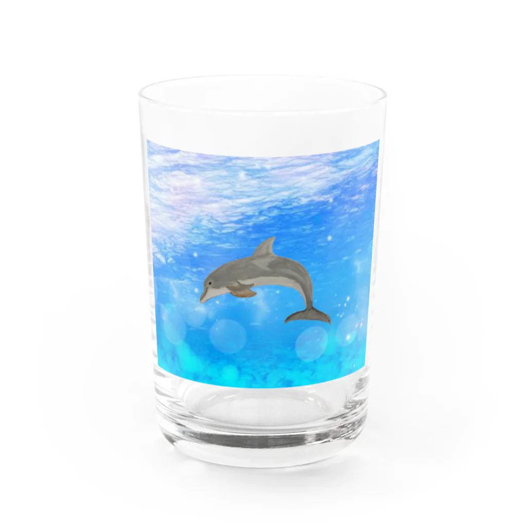 Coshi-Mild-Wildの✨バンドウイルカだよん🐬‼️‼️ Water Glass :front