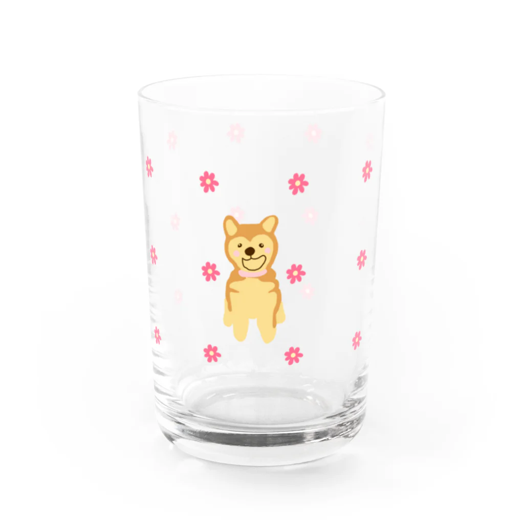 柴犬の里の柴犬とお花のグラス Water Glass :front