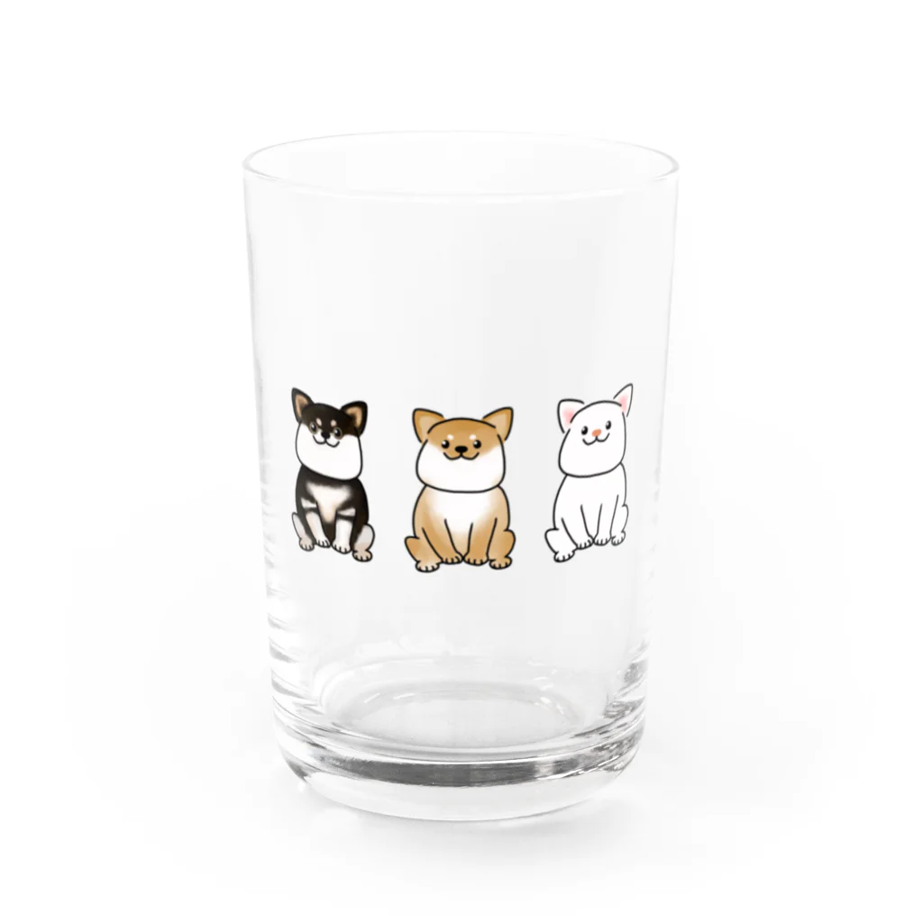 Lily bird（リリーバード）の黒、茶、白柴犬2 Water Glass :front