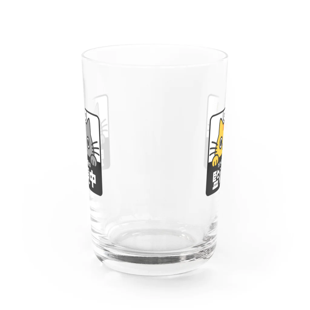 chi-bitのじーっとみる猫・猫さま監視中！（トラ猫&灰色猫） Water Glass :front