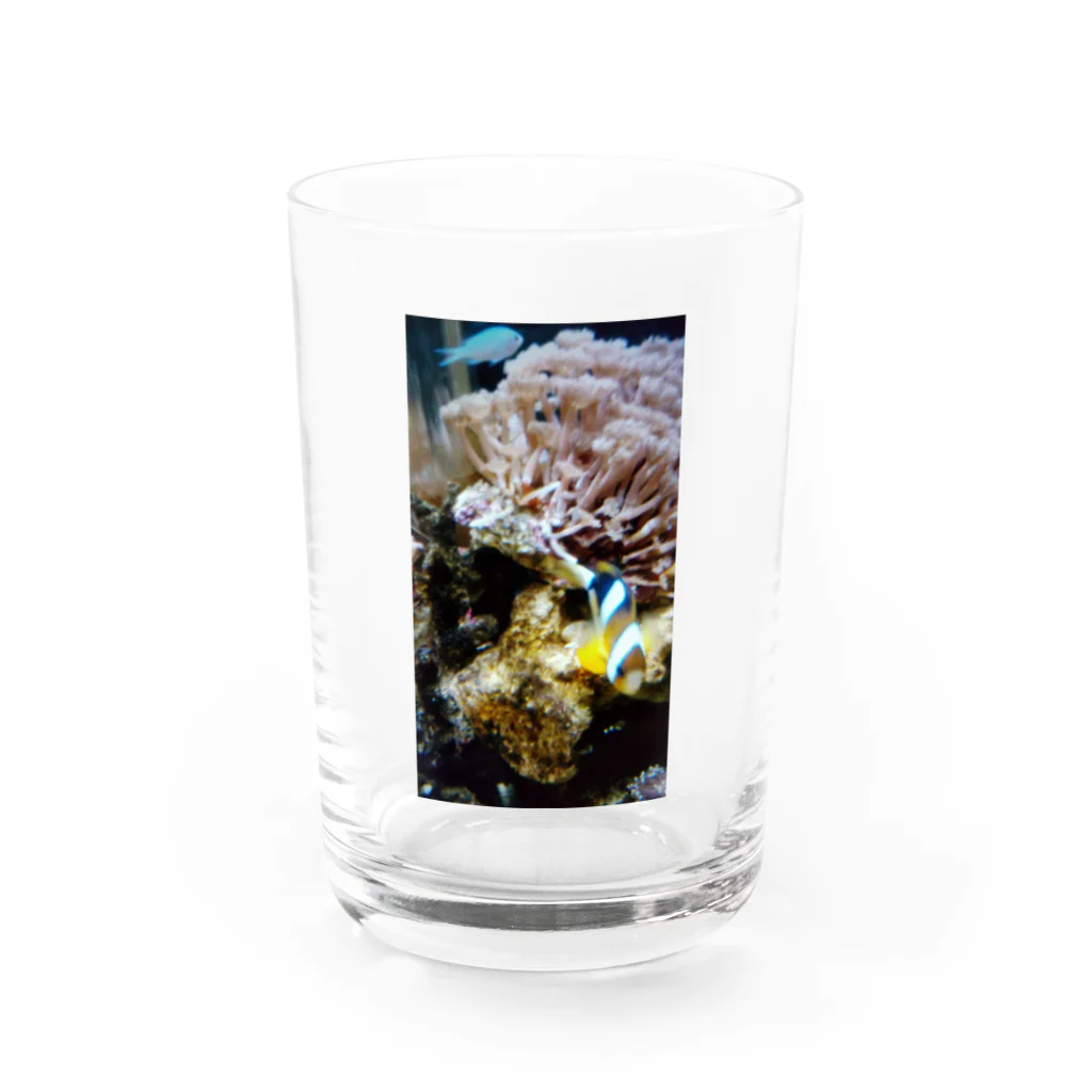 26giの水の生き物 Water Glass :front