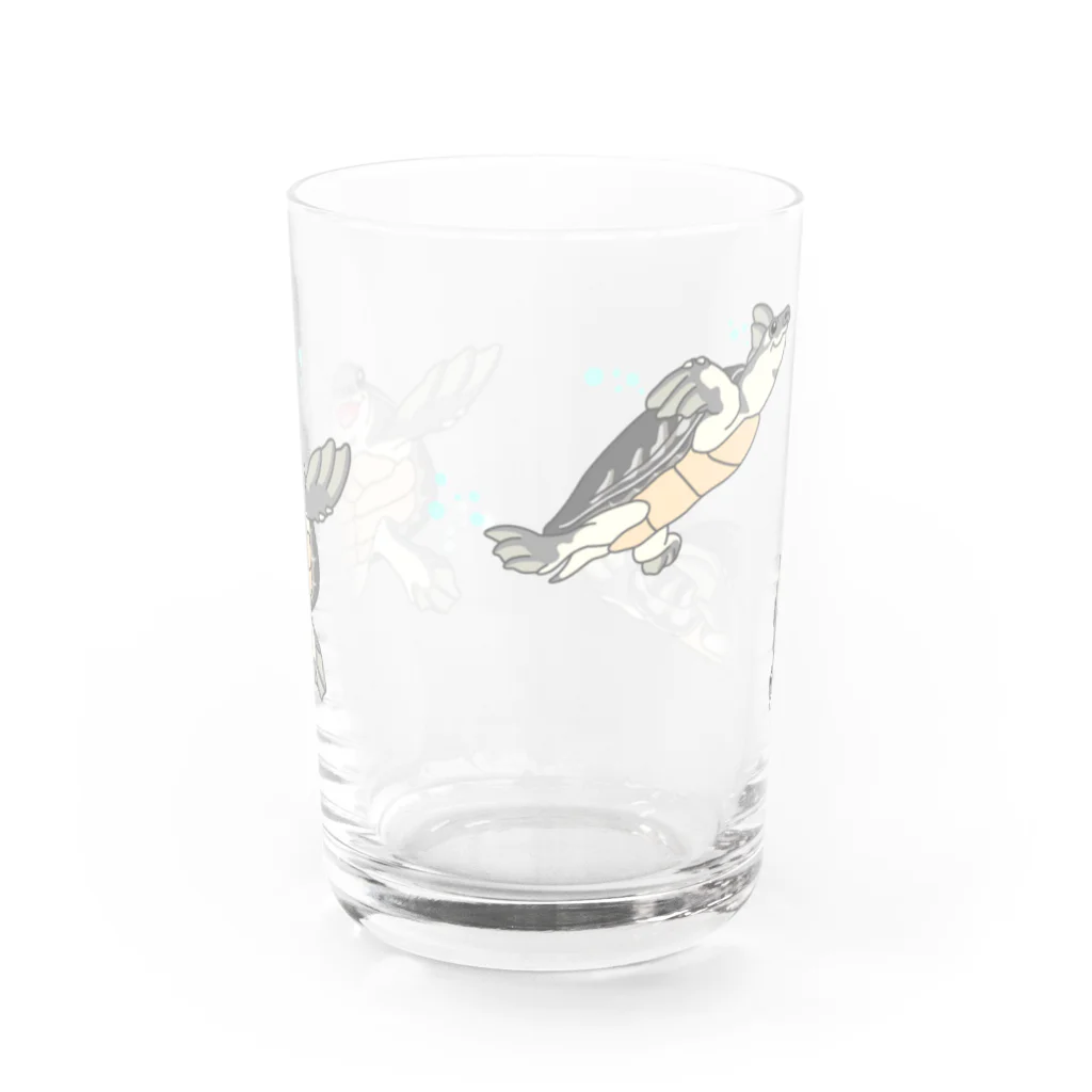 ありまる商店の泳ぐスッポンモドキ Water Glass :front