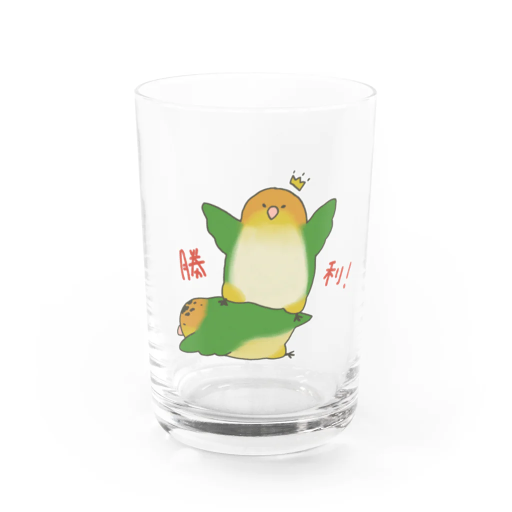 しょんぼりざうるすのシロハラぷろれす(文字入り) Water Glass :front