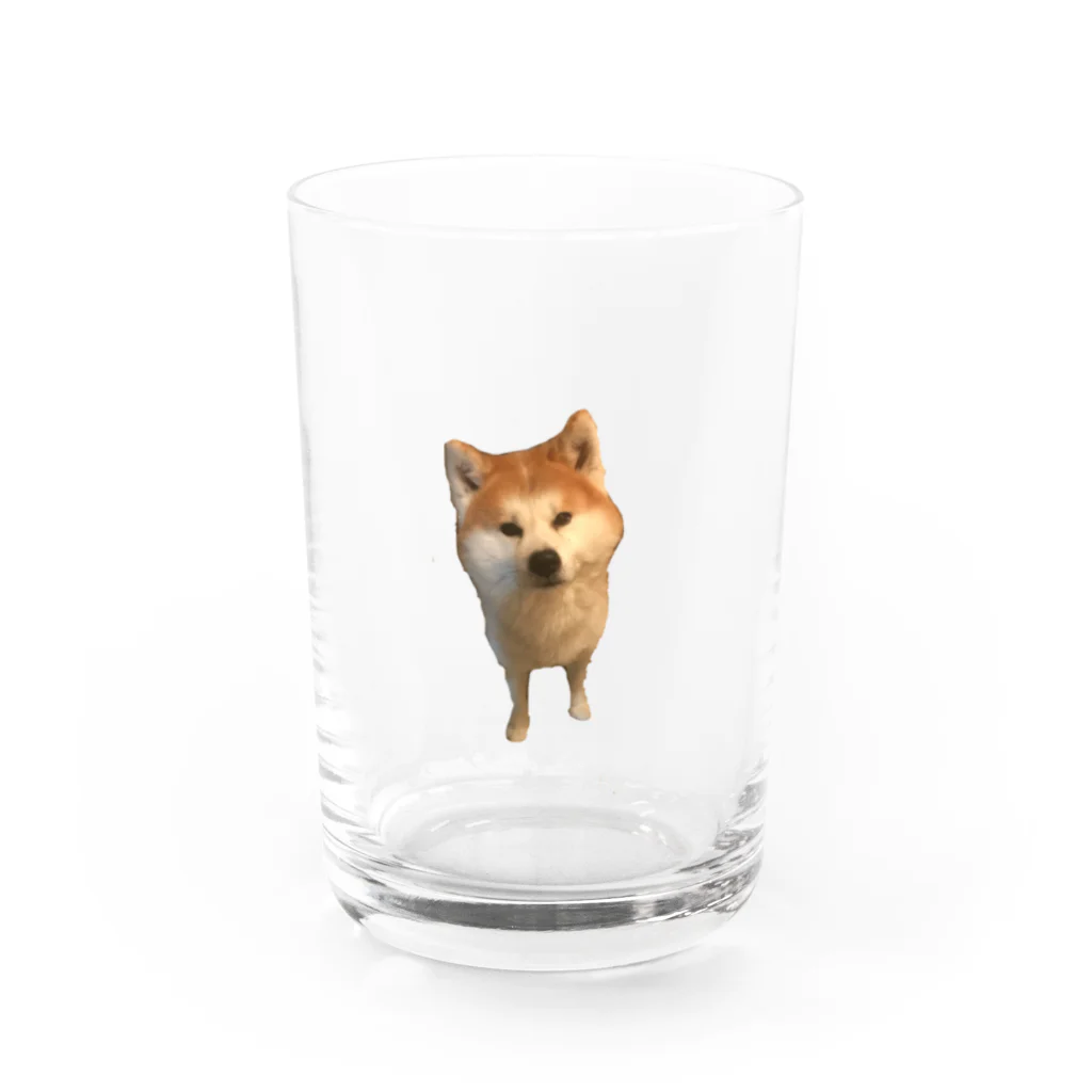 リオママの秋田犬 Water Glass :front