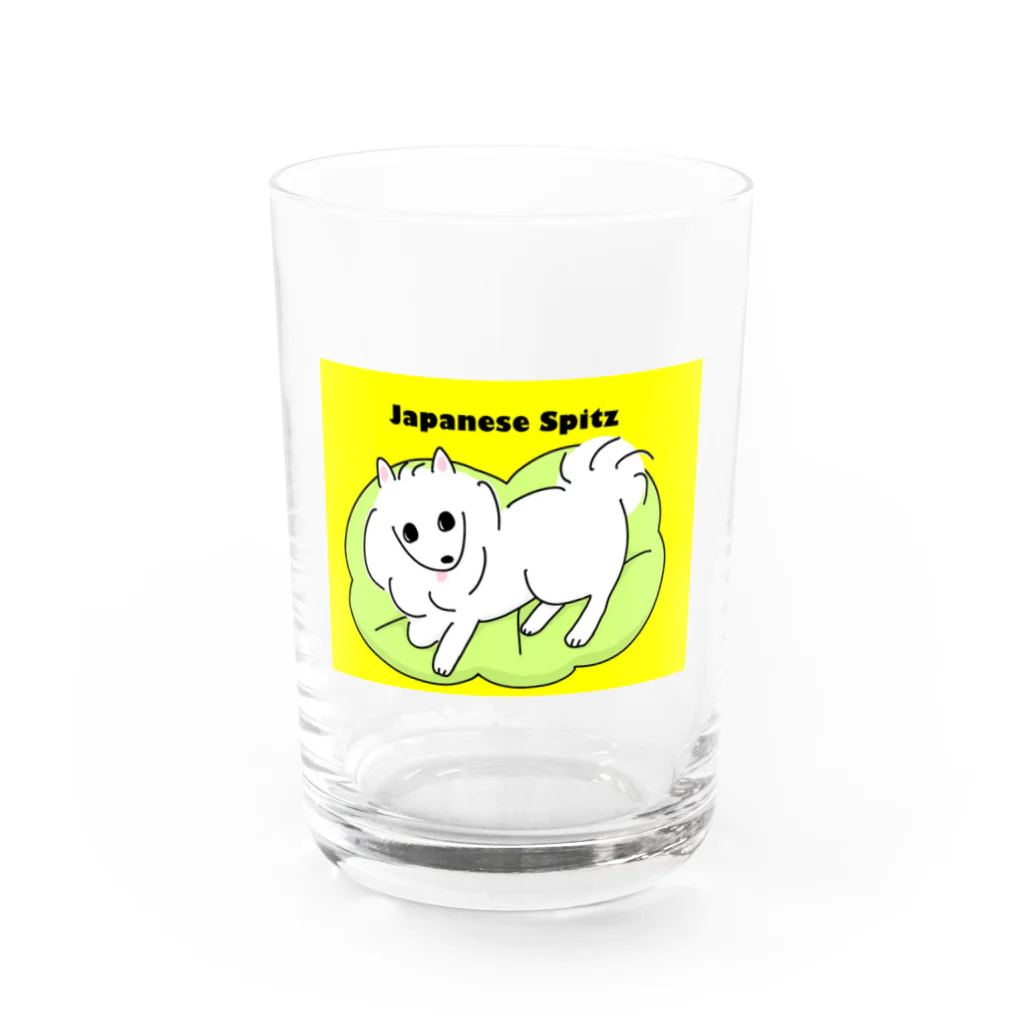 いぬだいすきくらぶの日本スピッツ🐶 グラス前面