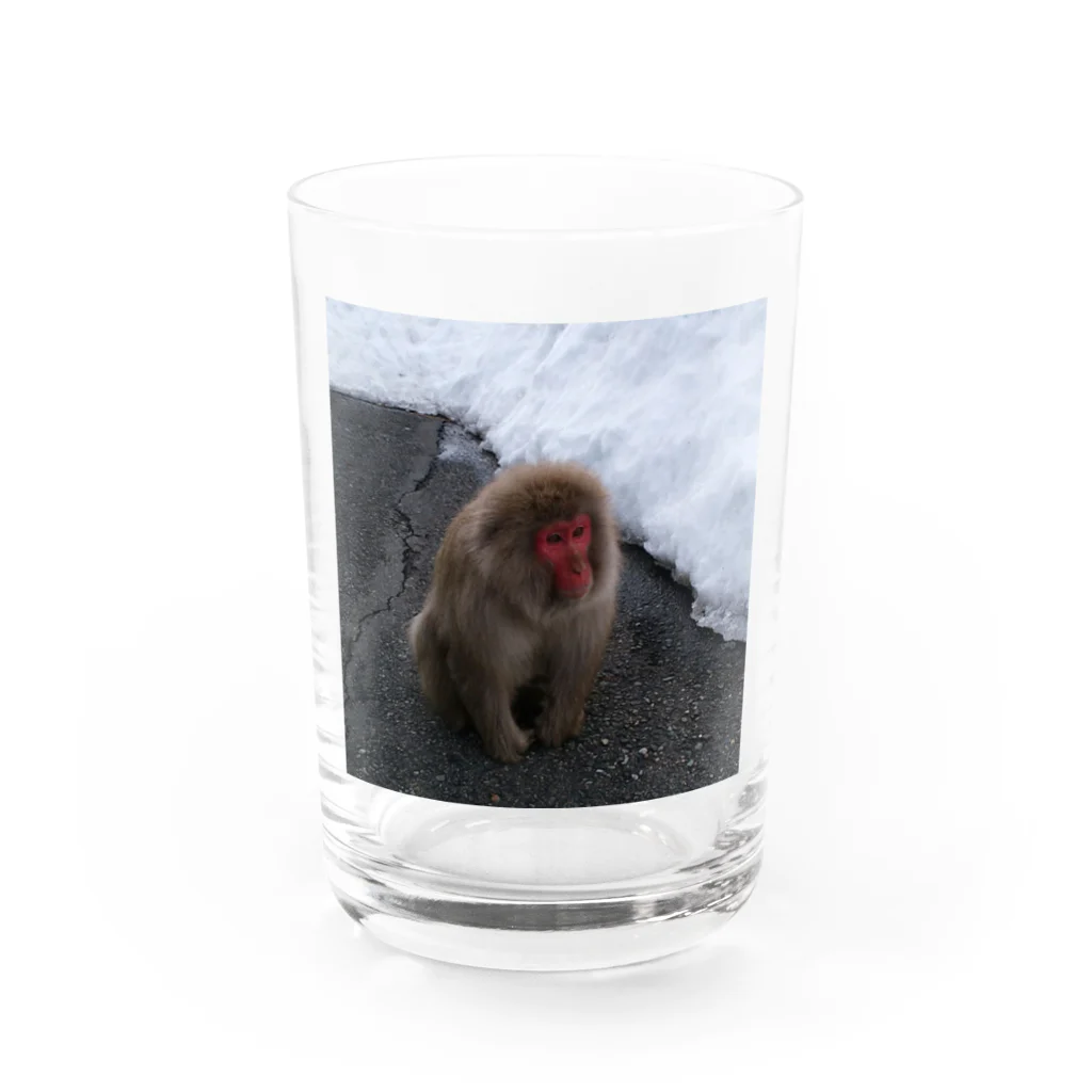 さッとんのおさるちゃん Water Glass :front