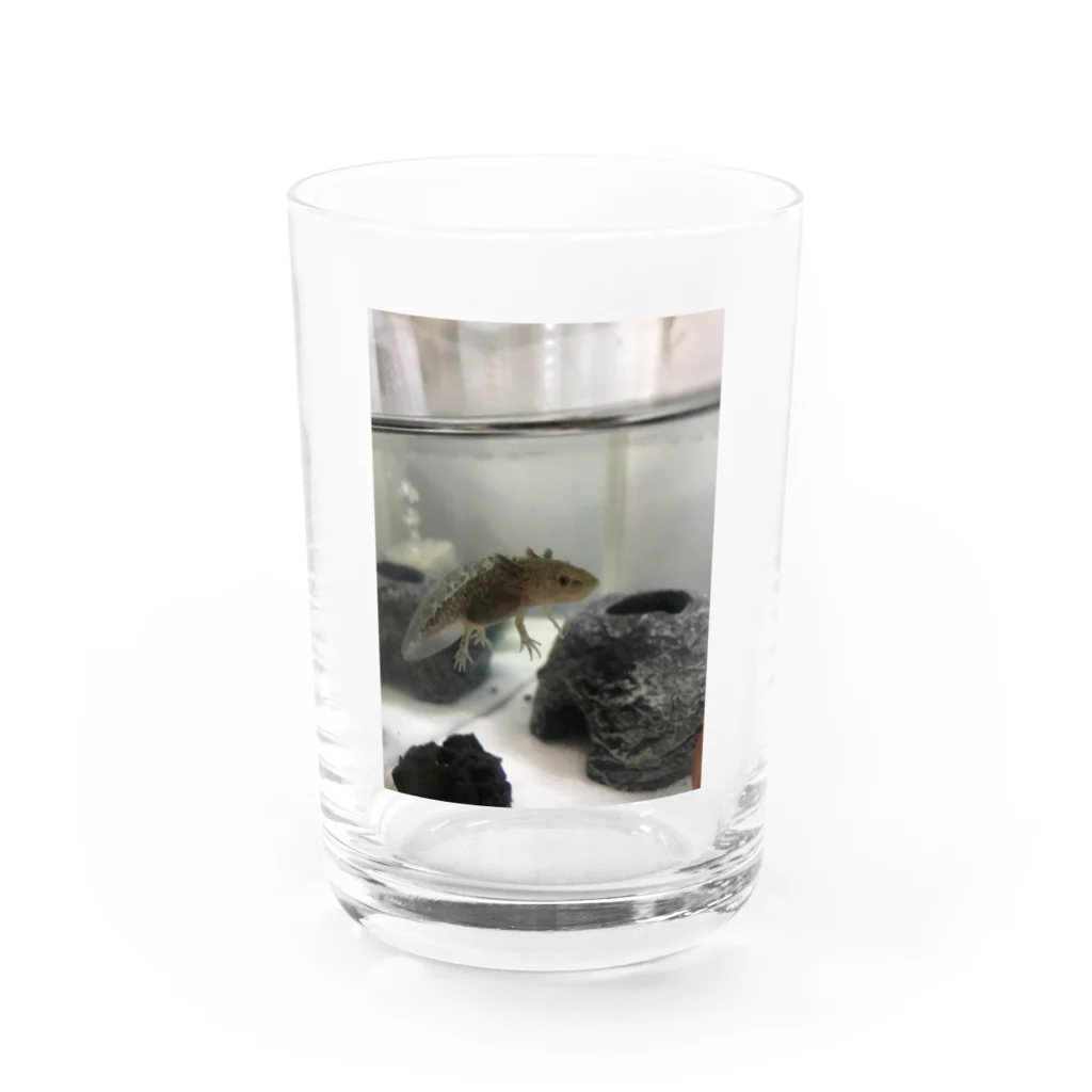 4ママブイやんのウーパールーパーのクロスケ Water Glass :front