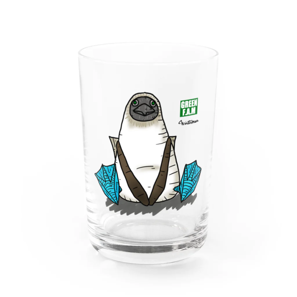 Green F.A.Mのブルーフット01 Water Glass :front