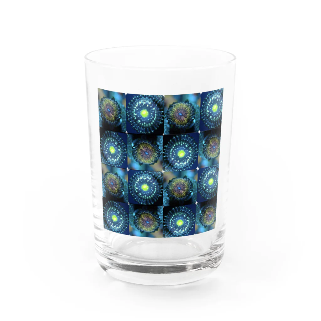 ブドウマンのマメスナグッツ Water Glass :front