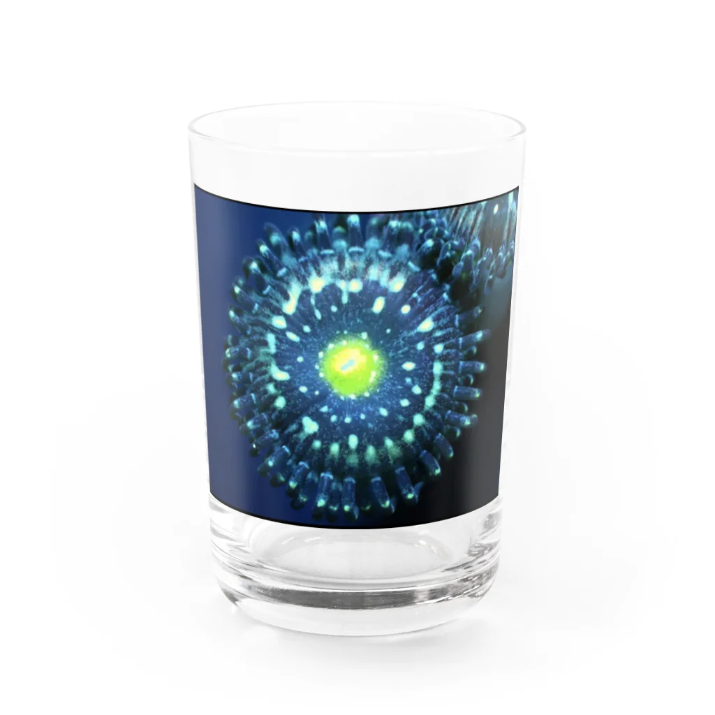 ブドウマンのブルーラグーン Water Glass :front