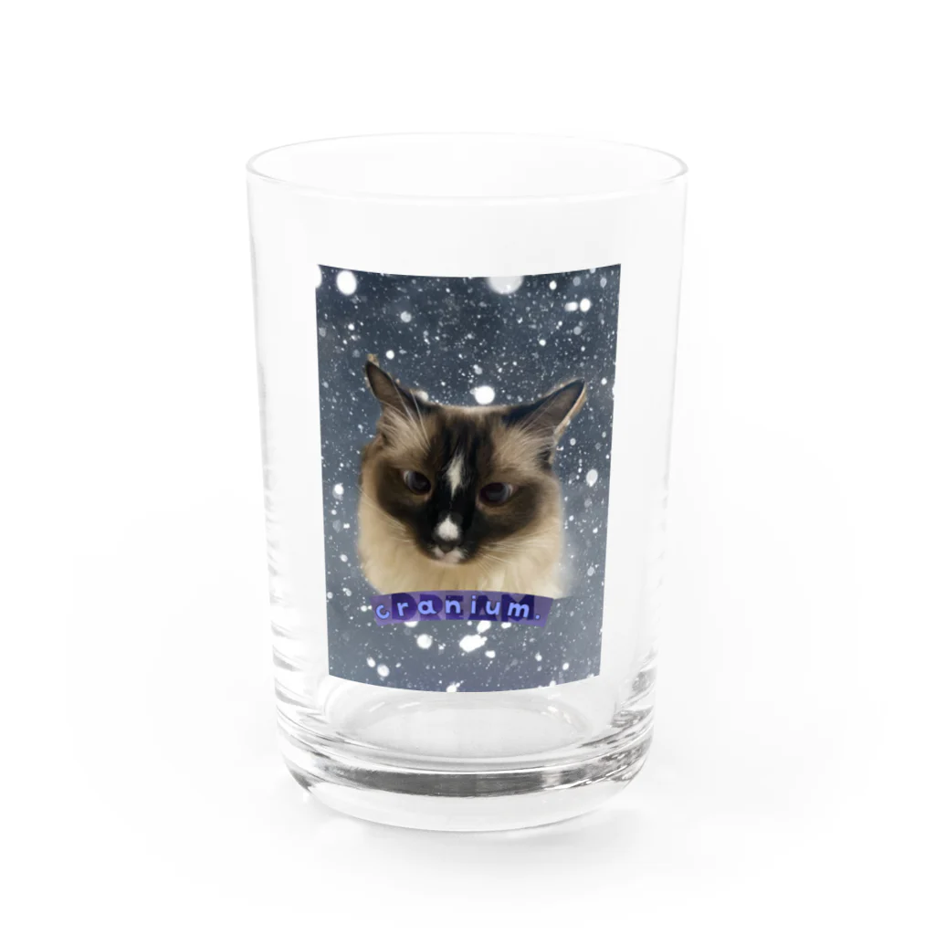 ꏸꋪꋫꁹꂑꐇꁒ𖤐《毎日ハロウィンのクラニアム》のねこの雫 Water Glass :front