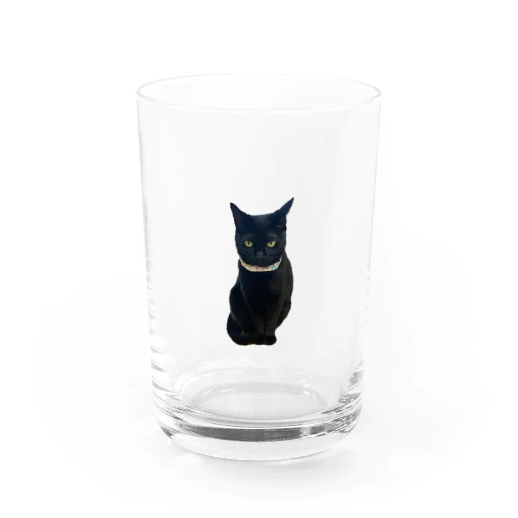 オダンゴクラフティのステラさんシリーズ Water Glass :front