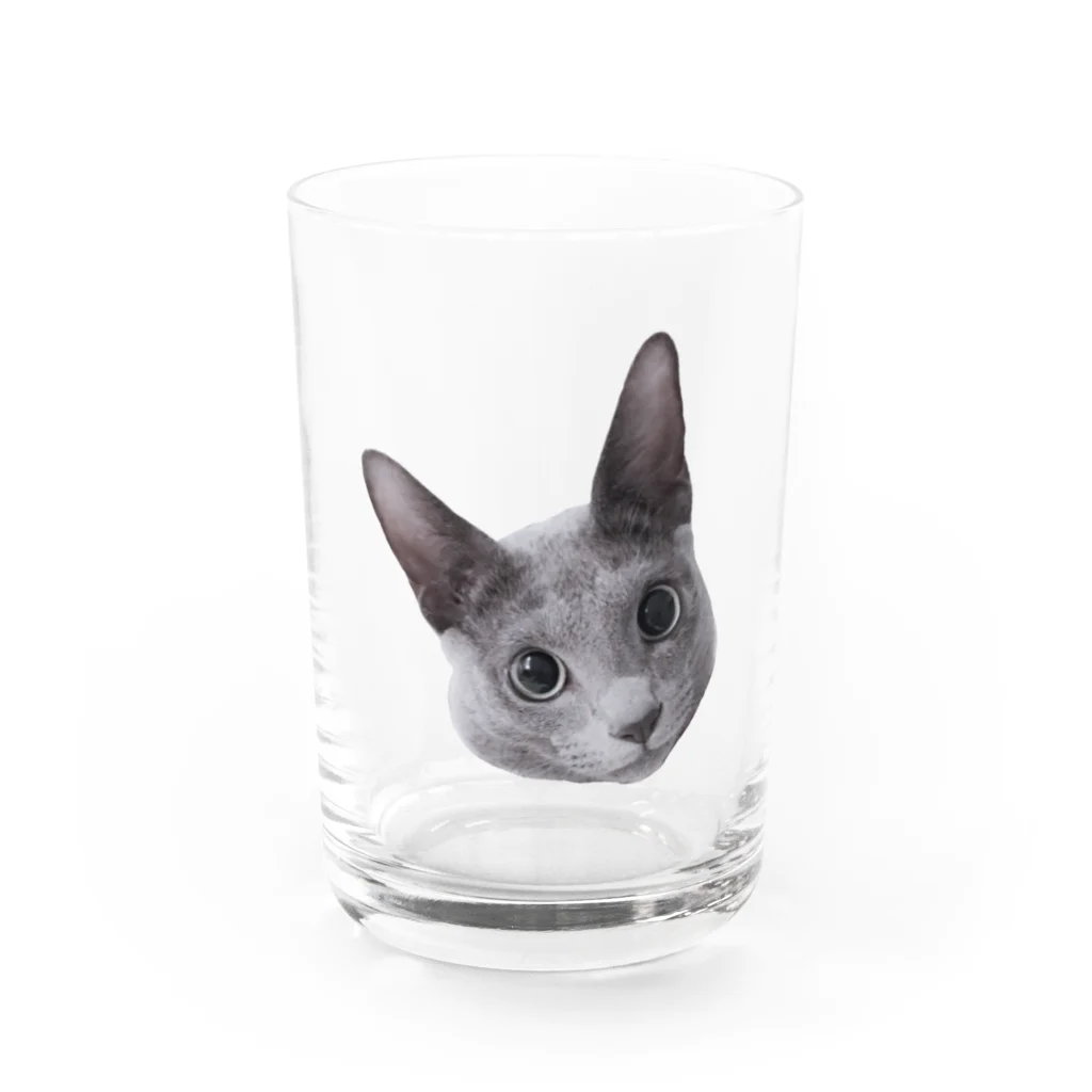 Vermeer-ふぇるめーるのふぇるくん　まんまるおめめ Water Glass :front