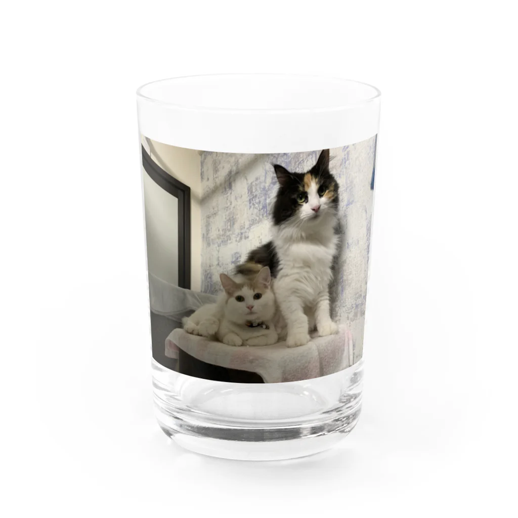 猫とハリセンボン🚗車中泊の旅の猫とハリセンボン Water Glass :front