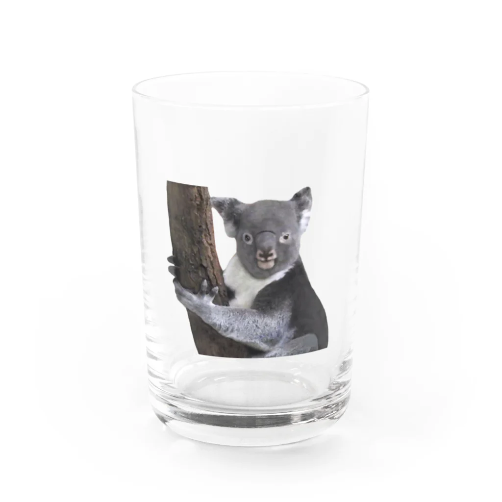 いきもの大好き！ほほえみフレンズのコアラの日常 ほほえみフレンズ Water Glass :front