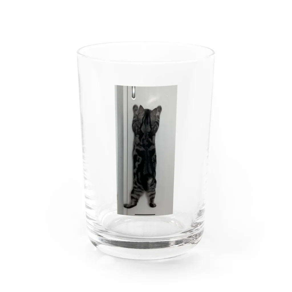 たけのこのお店の猫タンブラー Water Glass :front